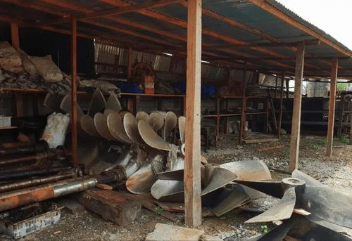 從日用百貨到非洲新機(jī)遇 探索多元化發(fā)展路徑