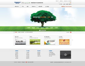 北京網(wǎng)站設計與網(wǎng)絡信息安全軟件開發(fā) 案例探析